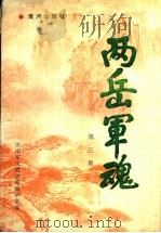 两岳军魂 第3集 1993 PDF电子版封面 7805584133 袁守芳主编;济南军区政治部编研室编