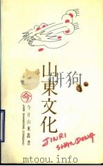 山东文化 1991 PDF电子版封面 7805513562 杨晓洲编