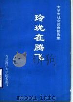 玲珑在腾飞：大学生社会考察报告集（1989 PDF版）