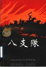 八支队文史资料选辑  第14辑（1997 PDF版）