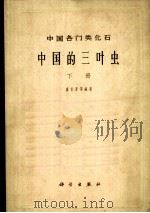 中国各门类化石 中国的三叶虫 下   1965  PDF电子版封面  13031·2124  卢衍豪等编著 