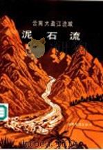 云南大盈江流域泥石流 1989 PDF电子版封面 7805440468 张信宝,刘江著