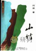 山竹   1999  PDF电子版封面  7506317419  何岳著 