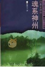 魂系神州 1999 PDF电子版封面 7506317524 林继宗著;汕头市文联,汕头市作协编