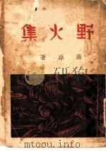 野火集 1936 PDF电子版封面 罗孙著