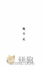 地下火 1939 PDF电子版封面 (德)列普曼著