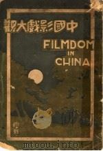 中国影戏大观 1927 PDF电子版封面 徐耻痕著
