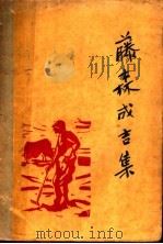 藤森成吉集 1933 PDF电子版封面 (日本)藤森成吉著;森保译