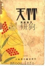 天竹 1928 PDF电子版封面 叶云风著