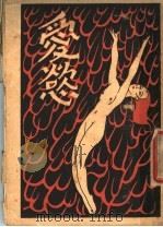 爱欲 1928 PDF电子版封面 (日本)武者小路实笃著;章克标译