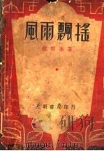 风雨飘摇 1934 PDF电子版封面 程碧冰著