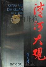 清河大观 1993 PDF电子版封面 7805728054 张永泉,詹晓明