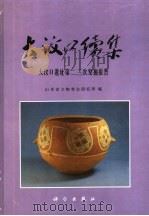 大汶口续集 大汶口遗址第二、三次发掘报告 1997 PDF电子版封面 7030059808 山东省文物考古研究所编