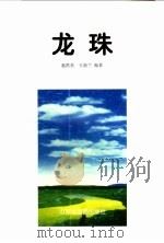 龙珠 1998 PDF电子版封面 7805323348 赵洪美,王新兰编著
