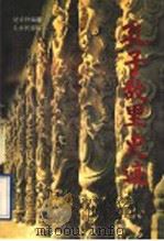 孔子故里史迹 1997 PDF电子版封面 7805588007 骆承烈等编著;孔祥民摄影