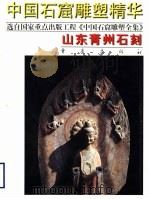山东青州石刻 1999 PDF电子版封面 7536645775