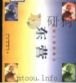 黄河入海的地方-东营 1997 PDF电子版封面 7806031693 东营市人民政府新闻办公室,山东画报社编