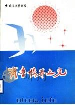 齐鲁侨界之光（ PDF版）