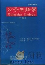 分子生物学 下 1988 PDF电子版封面 张信主编