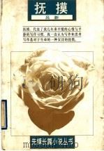 抚摸 1997 PDF电子版封面 7536023669 吕新著