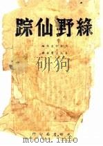 绿野仙踪   1945  PDF电子版封面    沃勒科夫改编；金人，文霄合译 
