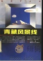 青藏风景线   1993  PDF电子版封面  7503303611  王宗仁著 