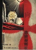 血染凝辉花 1993 PDF电子版封面 7505918001 王恩充著