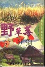 野草莓 1996 PDF电子版封面 7532913678 周蓬桦著
