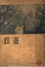 踪游（1934 PDF版）