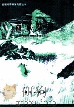 西藏盐湖 1999 PDF电子版封面 7030003330 郑喜玉等著