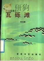 瓦砾滩 1991 PDF电子版封面 7530607332 钦志新著
