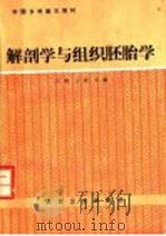 解剖学与组织胚胎学 1989 PDF电子版封面 7117009691 于频,王彦主编;于频,王彦,李吉,郭光文,吕永利,孙桂媛编