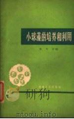 小球藻的培养和利用 1960 PDF电子版封面 T16102·261 陆艾五编