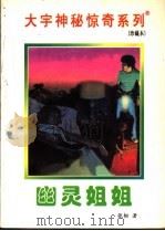 幽灵姐姐 1998 PDF电子版封面 7531209837 张韧著