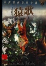 猿歌 1997 PDF电子版封面 7535813011 崔晓勇著