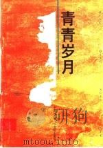 青青岁月 1995 PDF电子版封面 7539109874 王贤才著