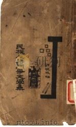 民族人格斗争文学集 1932 PDF电子版封面 许晚成编辑