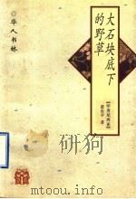 大石块底下的野草 1997 PDF电子版封面 7538245685 (印度尼西亚)黄东平著