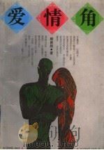 爱情角 1994 PDF电子版封面 780616037X 殷敦煌著