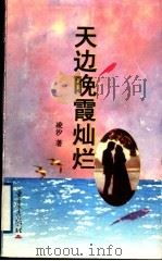 天边晚霞灿烂 1998 PDF电子版封面 7536638264 凌汐著
