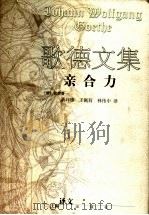 亲合力 1999 PDF电子版封面 7532722554 (德)歌德(Johann Wolfgang von Goet
