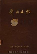晋南文物（ PDF版）