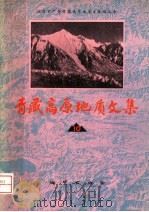 青藏高原地质文集 1982 PDF电子版封面 15038·新827 地质矿产部青藏高原地质文集编