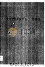 中国少数民族社会历史调查资料丛刊  大理州彝族社会历史调查（1991年06月第1版 PDF版）