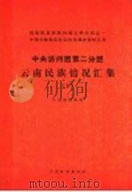 中国少数民族社会历史调查资料丛刊  中央访问团第二分团  云南民族情况汇集  （下册）（1986年11月第1版 PDF版）