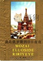 我在俄罗斯的日日夜夜   1995  PDF电子版封面  7531315203  孙禹著 