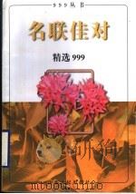 名联佳对精选999 1996 PDF电子版封面 7209019022 王谦,高立编著