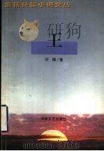 王 1999 PDF电子版封面 7806231196 许辉著