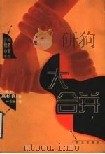 大合并 1999 PDF电子版封面 7501419698 (日)高杉良著;叶宗敏译