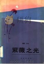 紫薇之光（1989 PDF版）